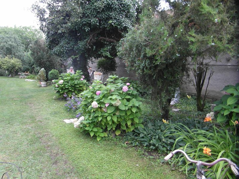 sk rakoczi 91 03.jpg